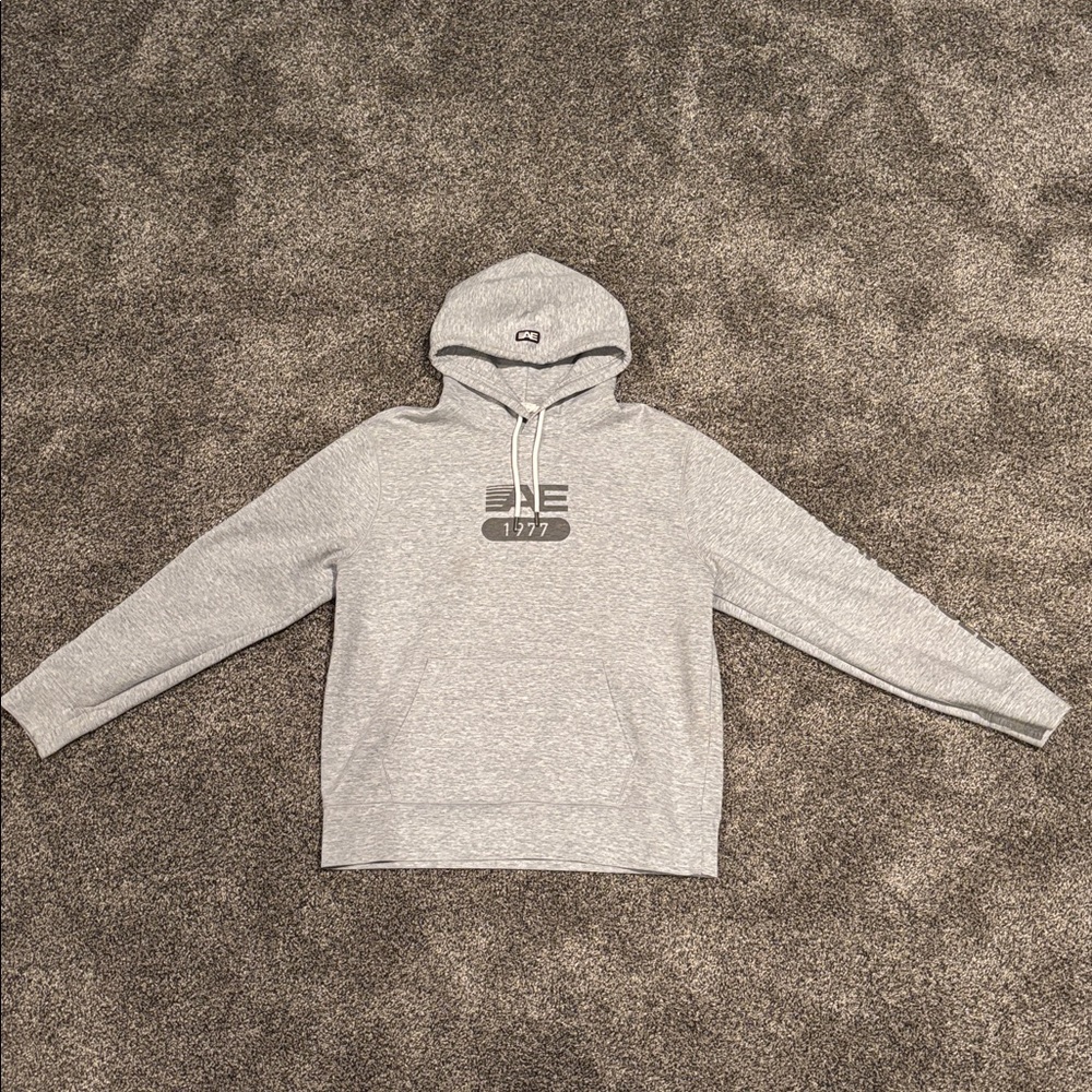 American Eagle Outfitters Heather Gray Hoodie